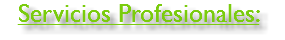 Servicios Profesionales: